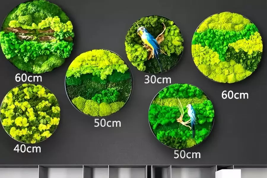 Green Plant Décor—Moss Round Decorative Art Piece