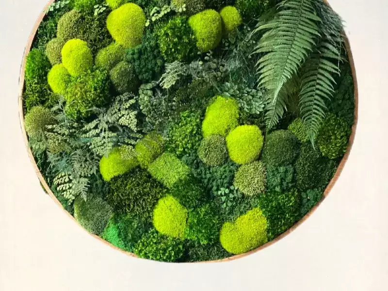 永生苔圆形装饰挂件