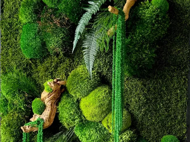 永生苔干花艺术墙