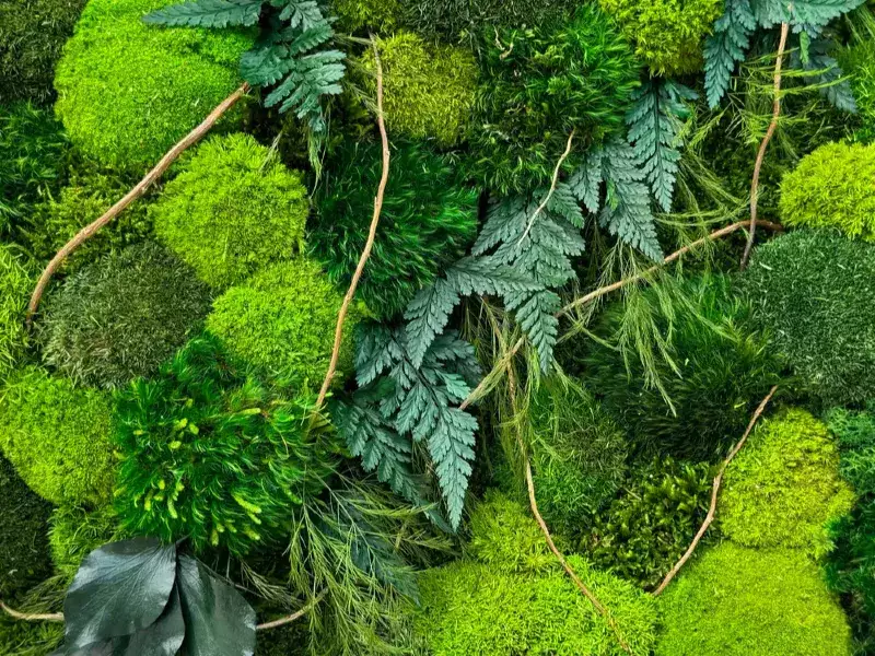 FRAMED ROUND MOSS ART