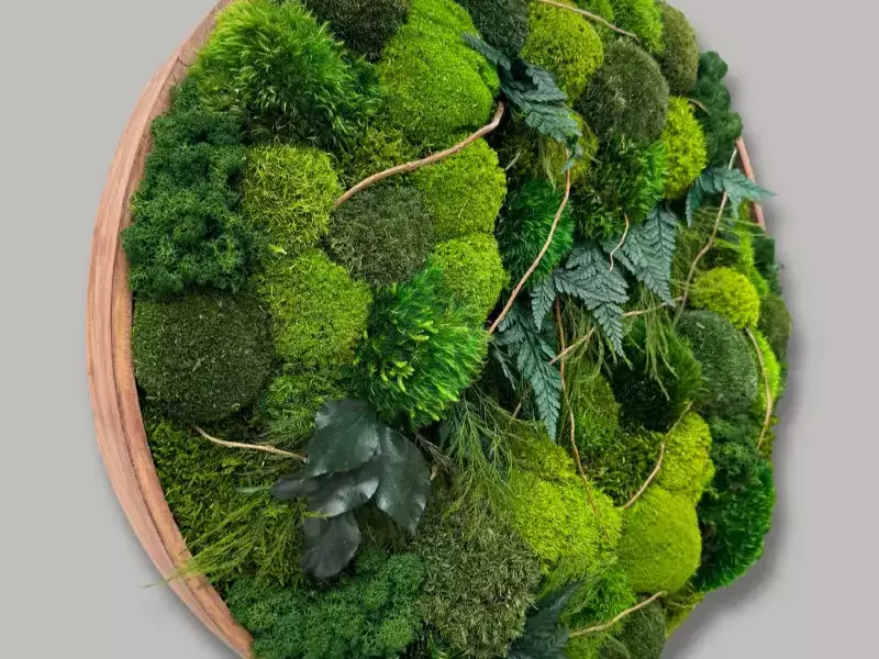 FRAMED ROUND MOSS ART