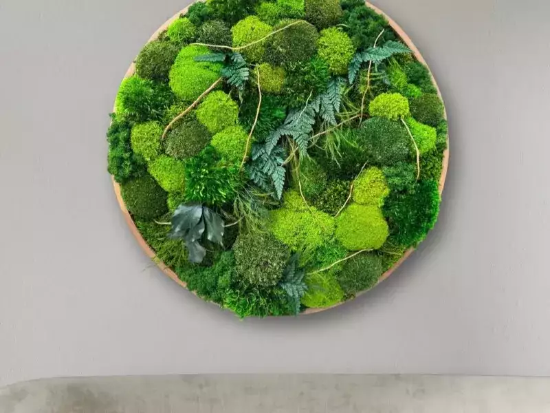框架圆形苔藓艺术品